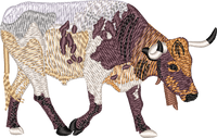 Bull 9