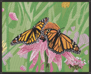 Butterflies