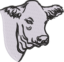Charolais Heifer
